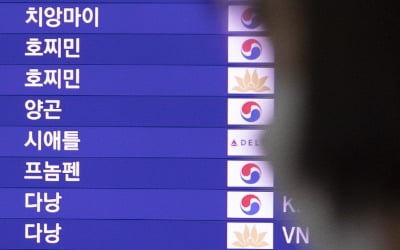 한국-베트남 하늘길 올스톱…韓 비행기 착륙불허·현지항공 이륙 '0'