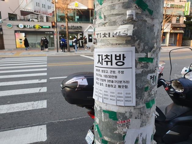 서울 안암동 고려대 인근 횡단보도에 자취방이 있다는 광고문이 붙어있다.  /배태웅 기자