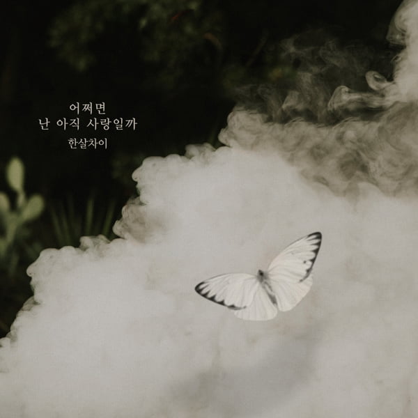 한살차이, '우아한 모녀' OST 가창 /사진=더하기미디어 제공
