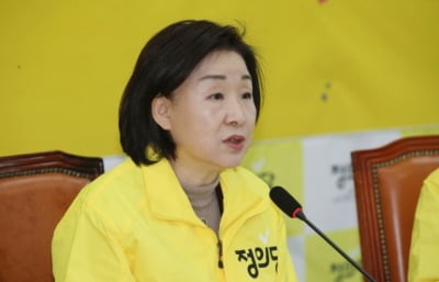 심상정 "'대리 게임' 류호정 향한 비판…근거 없는 여론몰이"