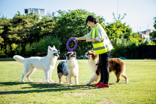 경인여대는 인천지역 대학 가운데 처음으로 펫토탈케어과를 신설했다. 경인여대 제공