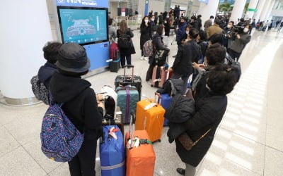 '마이웨이 해외여행'…국외 역유입 코로나 확진 사례 급증