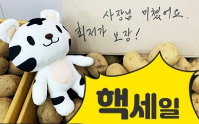 [이슈+] "감자도 5부제해야"…'10kg 5천원 PTS' 불티