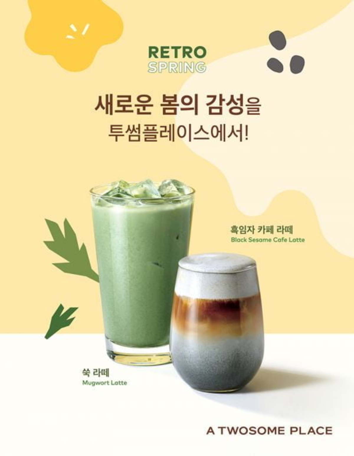 투썸플레이스강릉 이미지