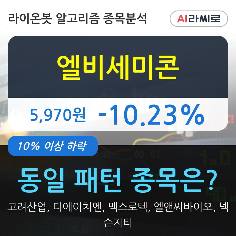 엘비세미콘