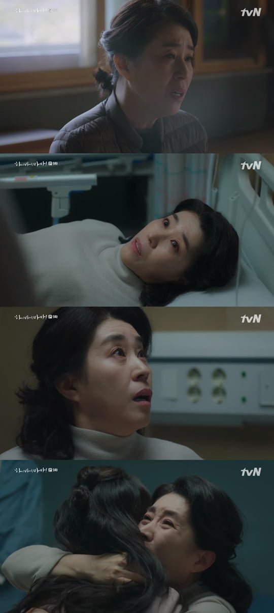 하이바이 마마 김미경(사진=tvN ‘하이바이,마마!’) 