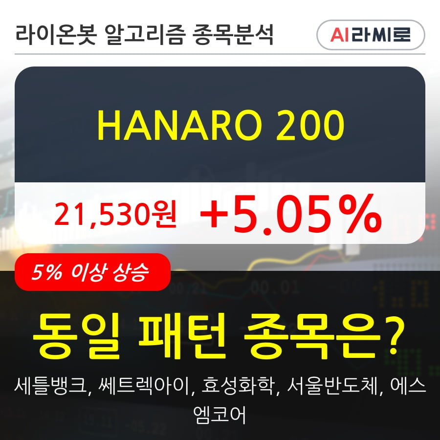HANARO 200