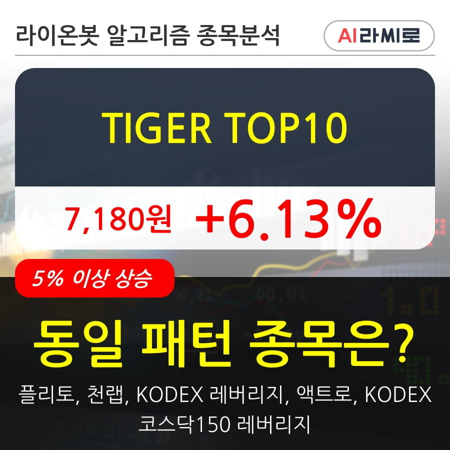 TIGER TOP10