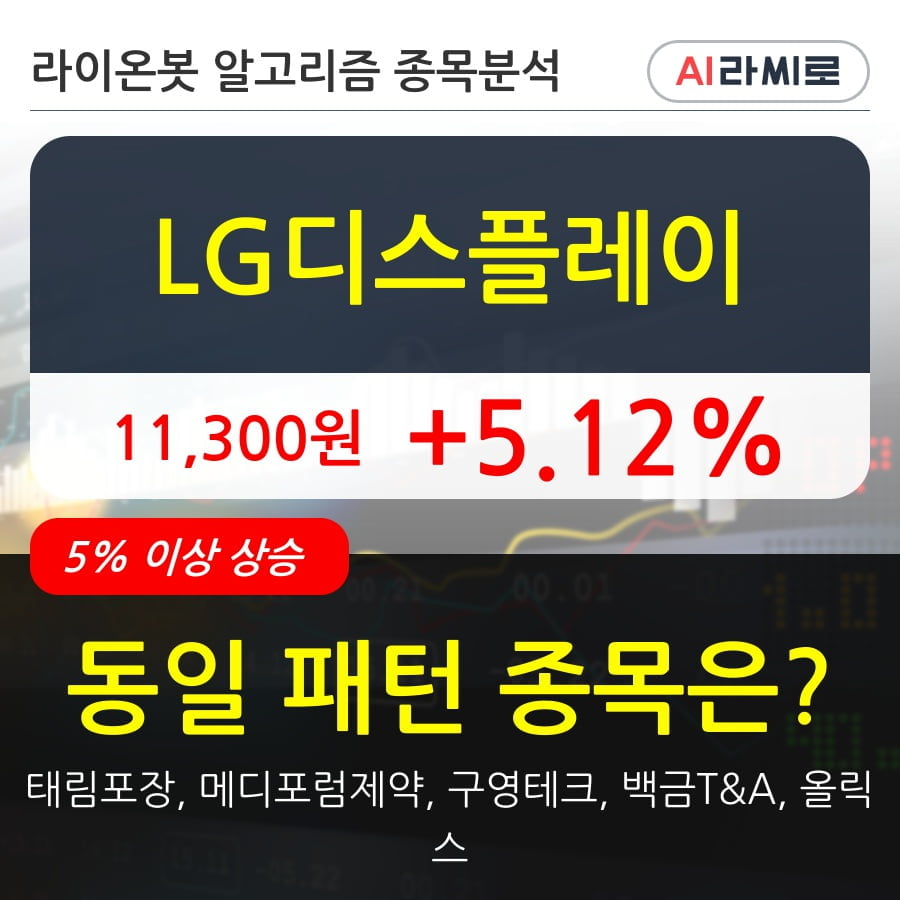 LG디스플레이