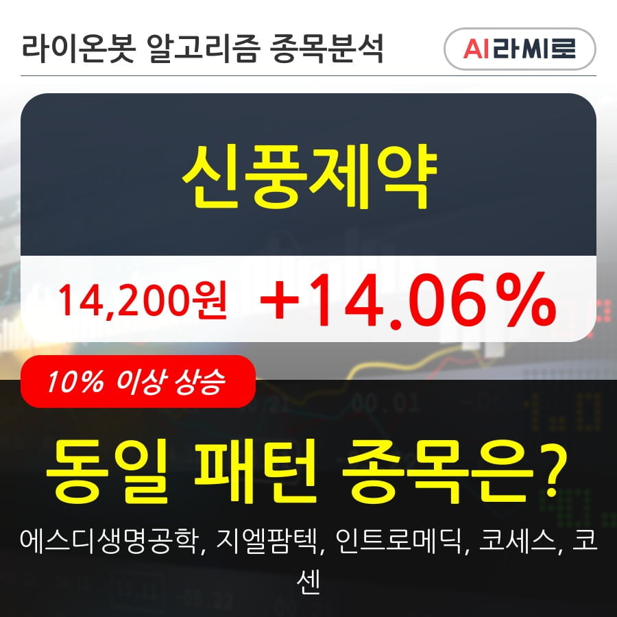 신풍제약