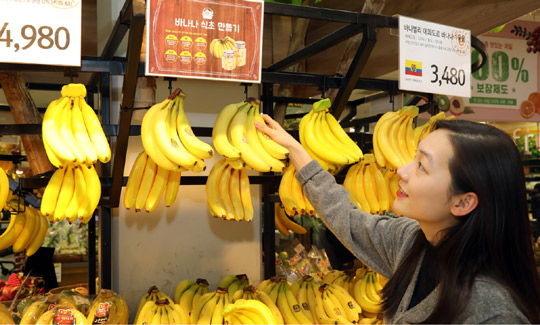 ‘점포 혁신’으로 온라인 공세 맞서는 대형마트…3가지 변신 키워드