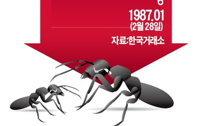 신용잔액 10兆…'반대매매' 공포에 떠는 개미들