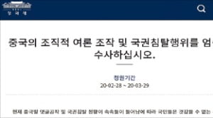 중국인이 여론 조작 '차이나게이트' 확산…한변, 靑 해명 촉구