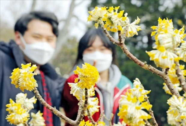 봄이 왔어요 