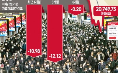 -11% 울고 싶다, 일본펀드