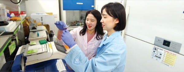 한국생명공학연구원 연구원들이 프라임에디팅으로 교정한 유전자를 중합효소연쇄반응(PCR)을 이용해 관찰하고 있다. 한국생명공학연구원 제공 