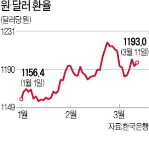 美 월가서 먼저 꺼냈다…"한국 등과 통화스와프 필요"