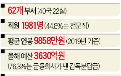 금감원, 半民半官의 무자본 특수법인…직원 절반이 변호사 등 전문직