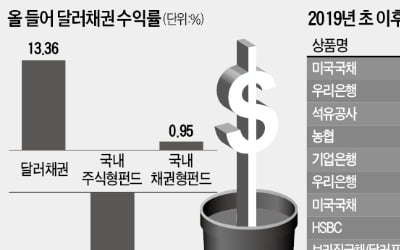 달러채권만 올 수익률 13% '나홀로 高高'