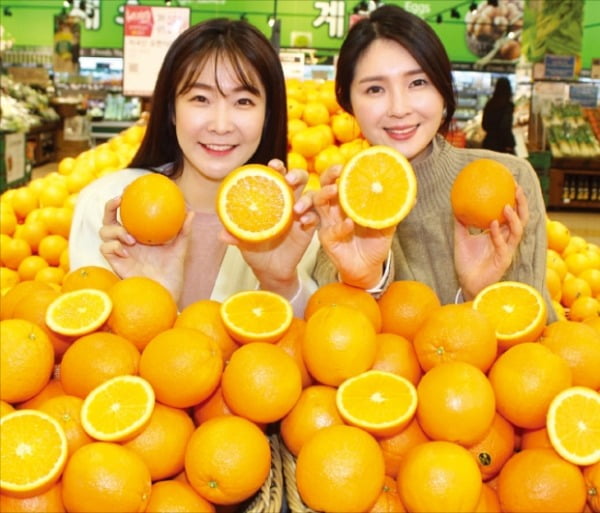 “달콤한 오렌지 맛보세요”