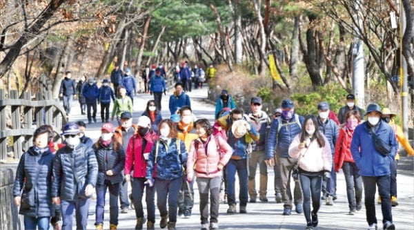 맑은 공기 찾아 산으로…