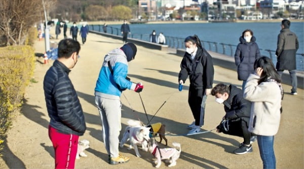 일상이 그리운 대구