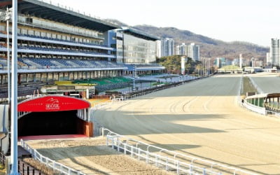 경마 매출 1조원 넘게 증발…마사회 "사상 첫 적자날 판"