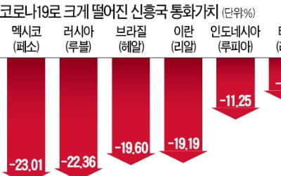 신흥국 투자 자금 앞다퉈 '엑소더스'