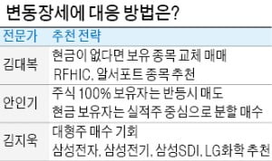 "LG화학·삼성전기·삼성SDI…대형株 사놓고 6개월만 기다려라"