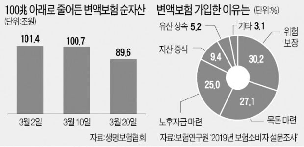 800만건 팔린 변액보험, 열흘 만에 11兆 증발