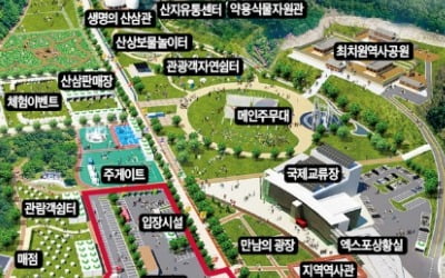 산삼 효능 체험하고, 대봉산서 힐링하고…"함양산삼항노화엑스포에서 '회춘' 하세요"