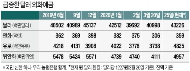 "달러가 최고"…환율 올라도 사재기