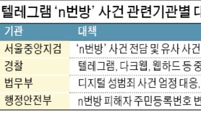 잇따른 n번방 모방범…16세 '태평양' 잡혔다