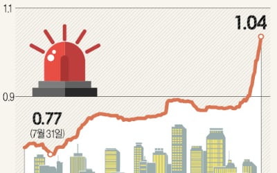 금리 年9%대 비우량 회사채 쏟아져…개미들 '베팅'