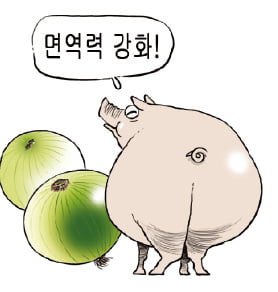 [생활속의 건강이야기] 코로나 예방, 영양균형이 중요