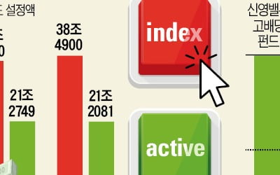 주식형 펀드 유입자금 99%, 인덱스 펀드行