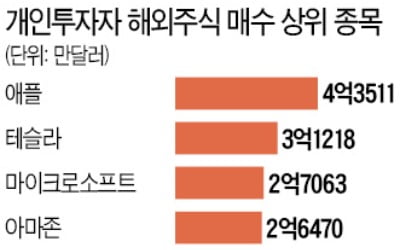 동학개미, 애플·테슬라도 '직구'…7.7兆 베팅