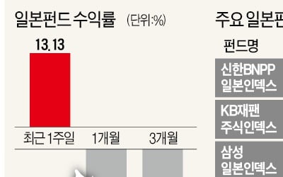 "日펀드 13% 수익 올렸지만…섣부른 투자 금물"