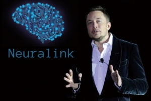 인간의 뇌에 AI를 연결하라…'뉴럴링크 기술' 어디까지 왔나