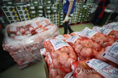 올해 마늘 과잉 생산 예상에 수급 안정대책 추진