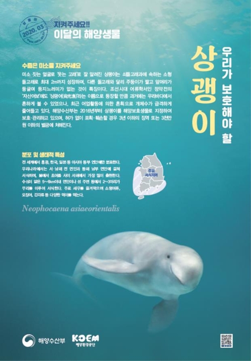 이달의 해양생물에 '웃는 고래' 상괭이 선정