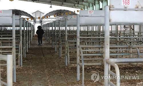 '코로나19 확산 방지'… 전남 가축시장 15곳 전면 휴장