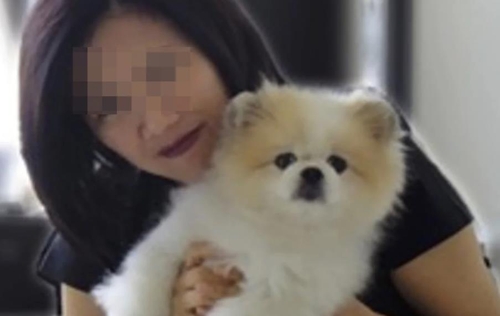 WHO "코로나19 양성 반응 나온 홍콩 애완견 조사 중"(종합)