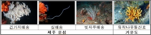 해수부 "우리 갯벌 생물 다양성 우수…유럽 와덴해 1.6배"