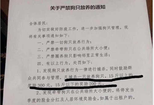 "풀린개 죽이면 5만원"…코로나19 속 中아파트 장려금 논란