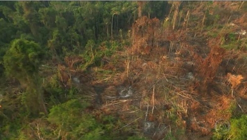 브라질, 아마존 원주민 땅 삼림파괴 급증세…"정부 책임 커"