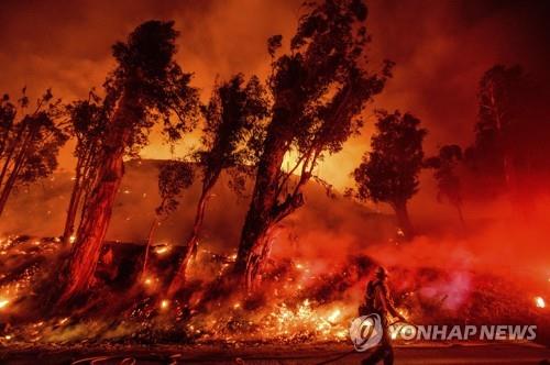 미국 골프대회 도중 산불로 선수들 '대피 소동'