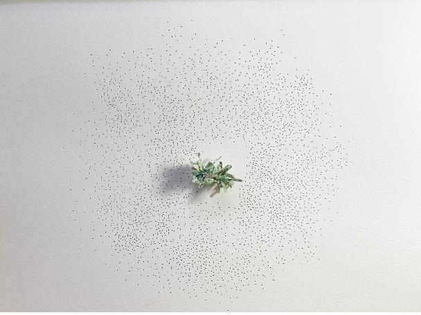 [미술소식] 갤러리연합전 'W299 프로젝트'·'이형우 오동나무'전