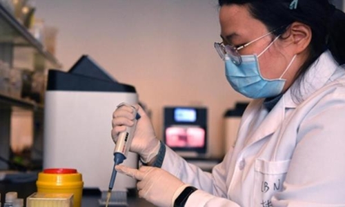 중국 '15분만에 감염 확인' 코로나19 진단 기법 개발