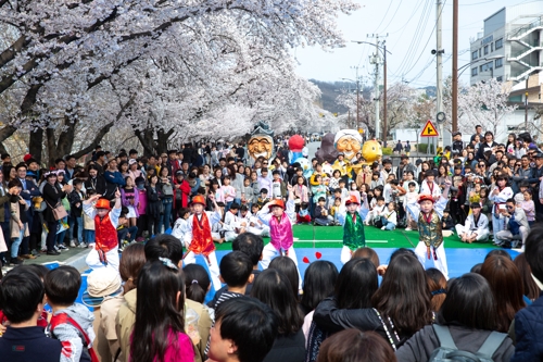 코로나19 확산에 안동벚꽃축제 취소